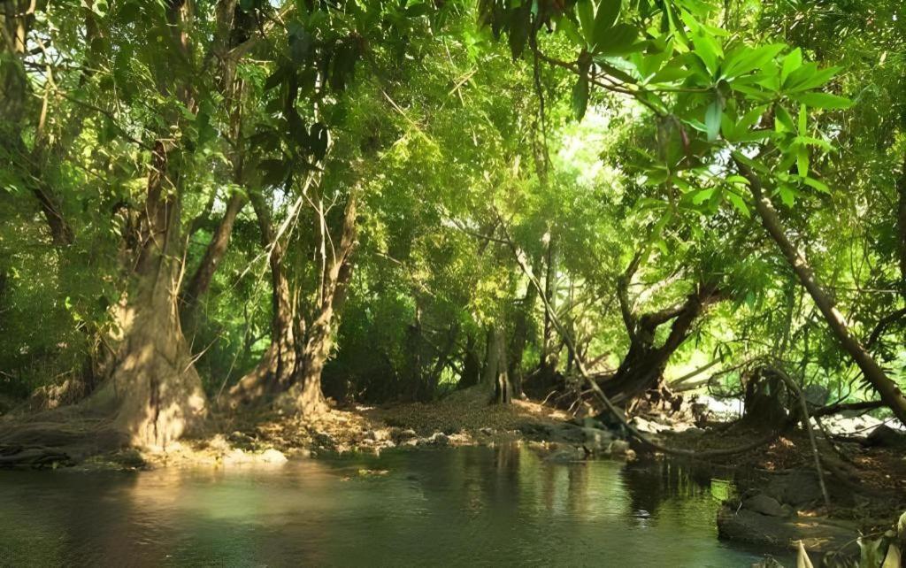 Natural Park Resort De Wang Thong Фитсанулок Екстериор снимка